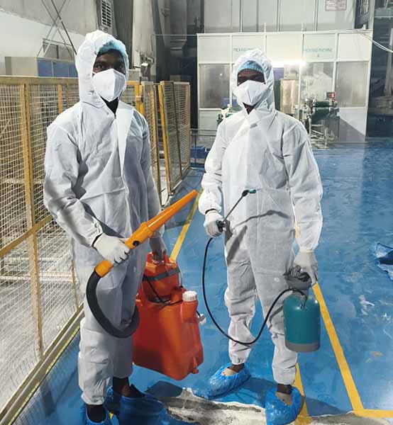 best termite treatment company